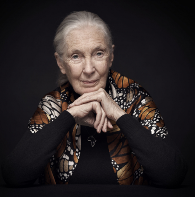 Jane Goodall