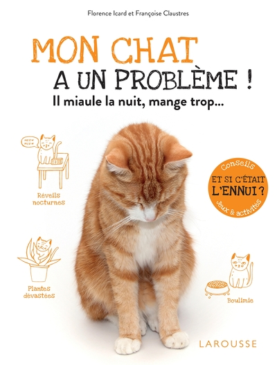 Mon chat a un problème !