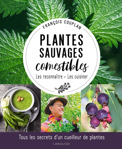 Plantes sauvages comestibles