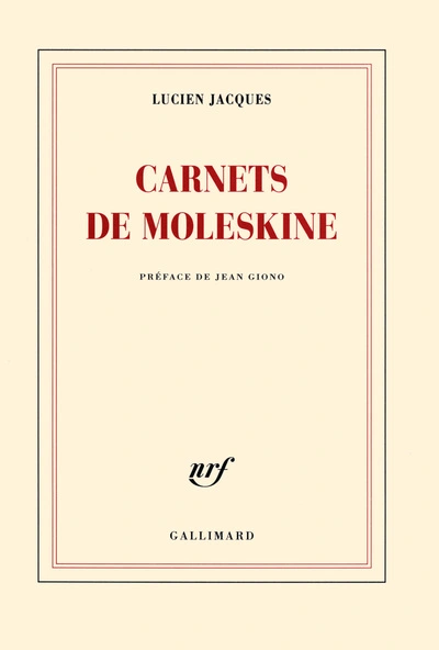 Carnets de moleskine