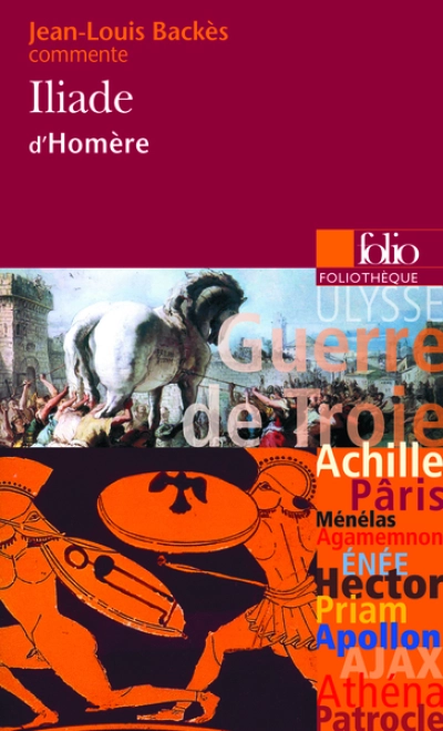 Iliade d'Homère (Essai et dossier)