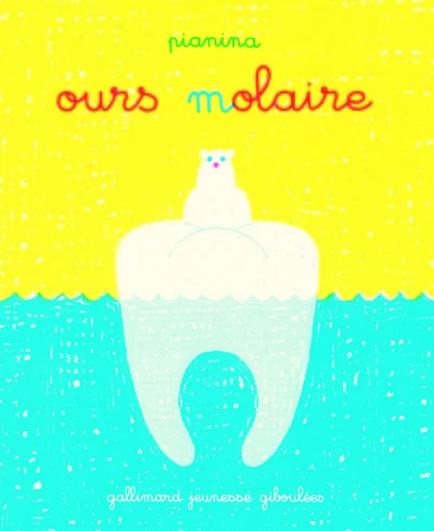 Ours molaire