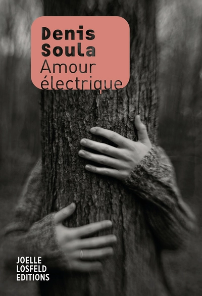 Amour électrique