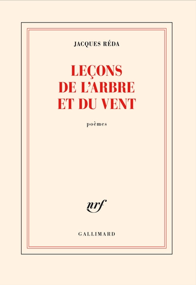 Leçons de l'arbre et du vent