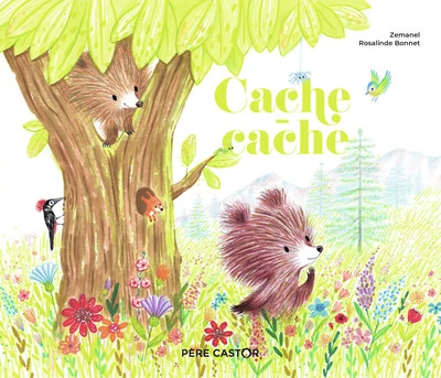 Cache-cache