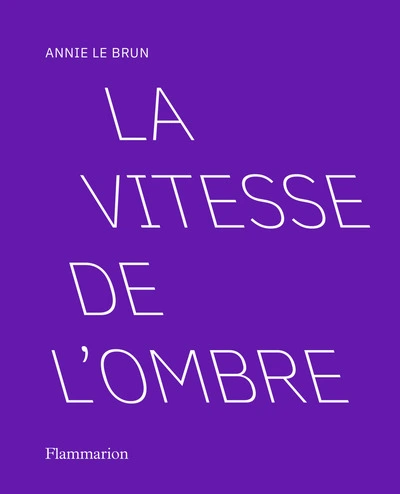 La vitesse de l'ombre