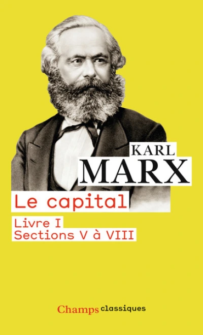 Le Capital - Flammarion : Livre I ( sections V à VIII)