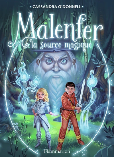 Malenfer, tome 2 : La source magique (roman)