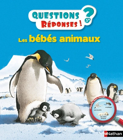 Les Bébés animaux