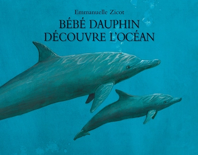 Bébé dauphin découvre l'océan