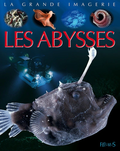 Les abysses