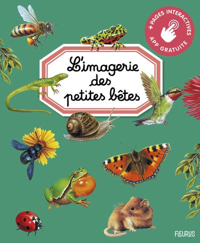 L'imagerie des petites bêtes (interactive)