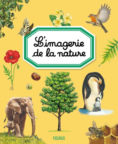 L'imagerie de la nature