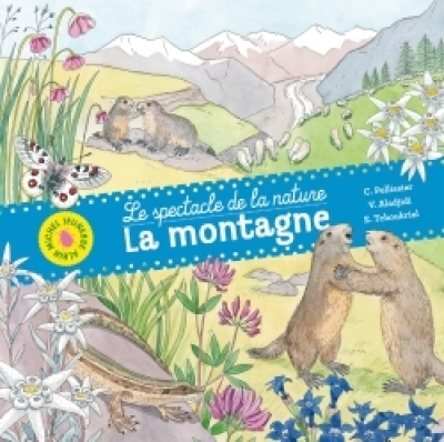 La Montagne