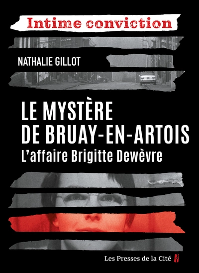 Le Mystère de Bruay-en-Artois : L'Affaire Brigitte Dewèvre