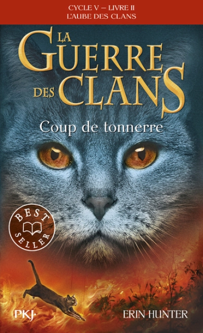 La guerre des clans, Cycle V - L'aube des clans, tome 1 : Le sentier du soleil