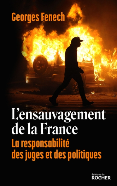 L'ensauvagement de la France : La responsabilité des juges et des politiques