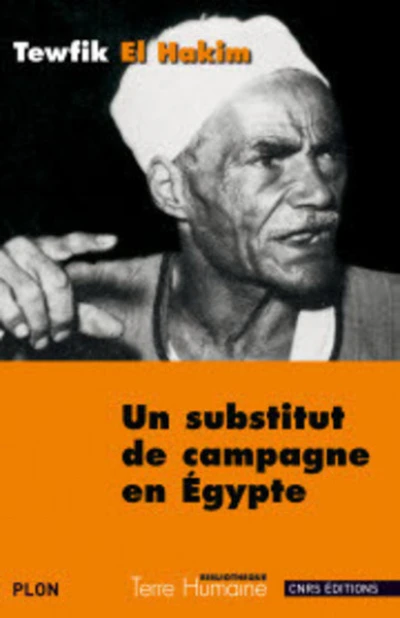 Un substitut de campagne en Egypte : Journal d'un substitut de procureur égyptien