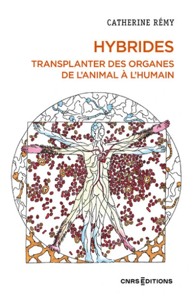 Hybrides. Enquête sur la transplantation d'organes de l'animal à l'humain