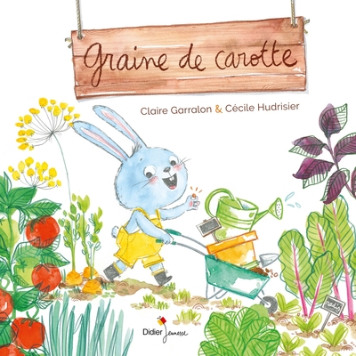 Graine de carotte