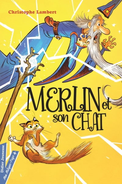 Merlin et son chat