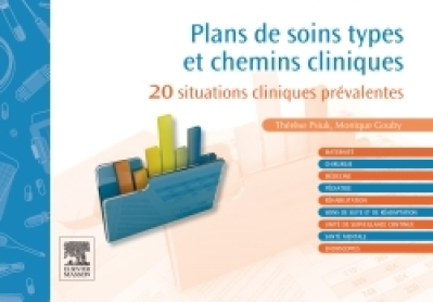 Plans de soins types et chemins cliniques