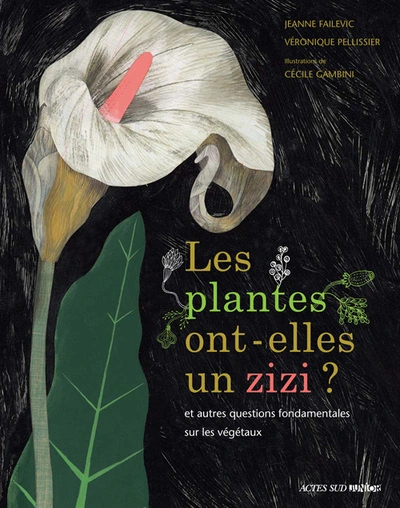 Les plantes ont-elles un zizi ?