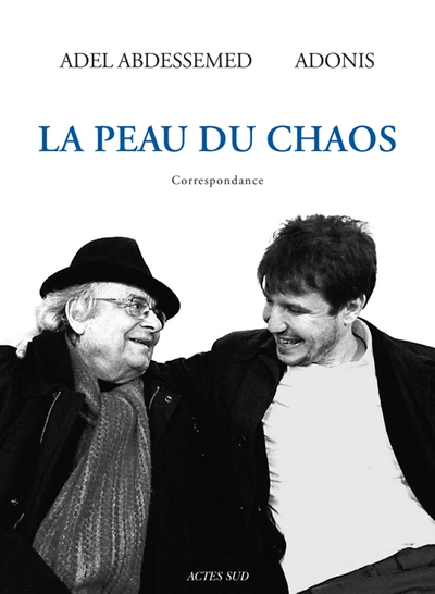 La peau du chaos