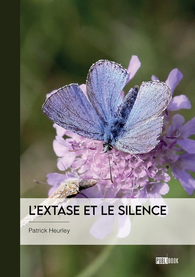 Lextase et le silence