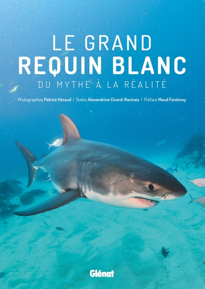 Le grand requin blanc