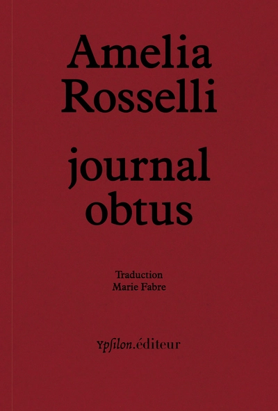 Journal obtus: Suivi de 'Essai obtus' et 'Amelia en fragments