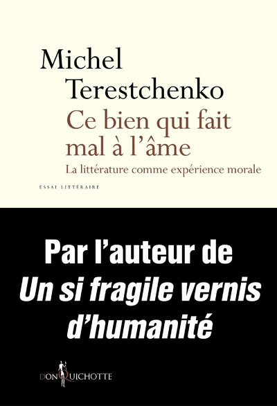 Ce bien qui fait mal à l'âme - La littérature comme expérience morale