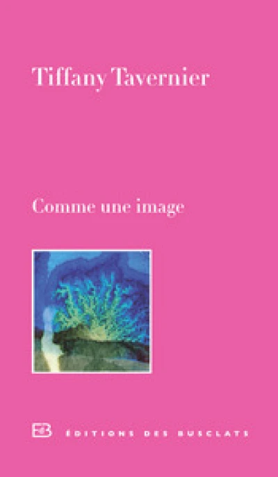 Comme une image