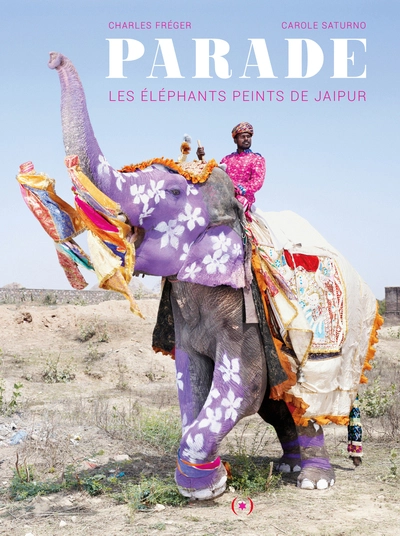 Parade : Les éléphants peints de Jaipur