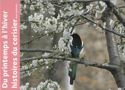 Du printemps à l'hiver