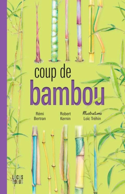 Coup de bambou