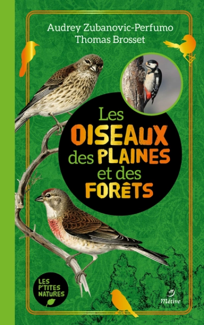 Les oiseaux des plaines et des fôrets