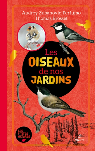 Les oiseaux de nos jardins