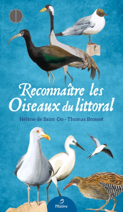 Reconnaître les oiseaux du littoral