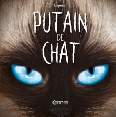 Putain de chat, tome 10