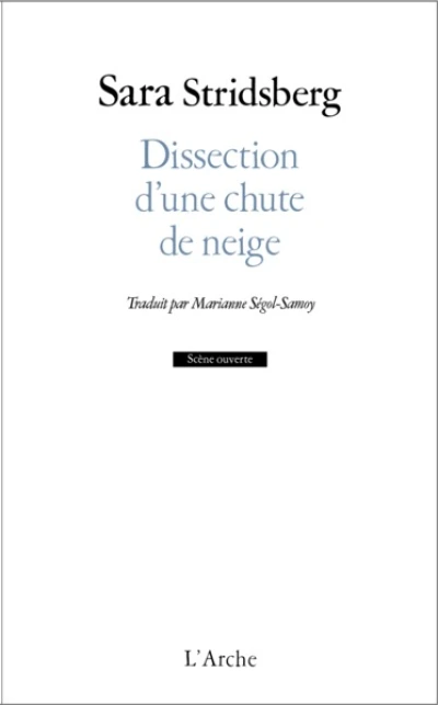 Dissection d'une chute de neige