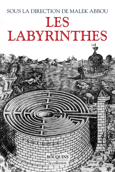 Les Labyrinthes - Vingt mille ans de métamorphoses