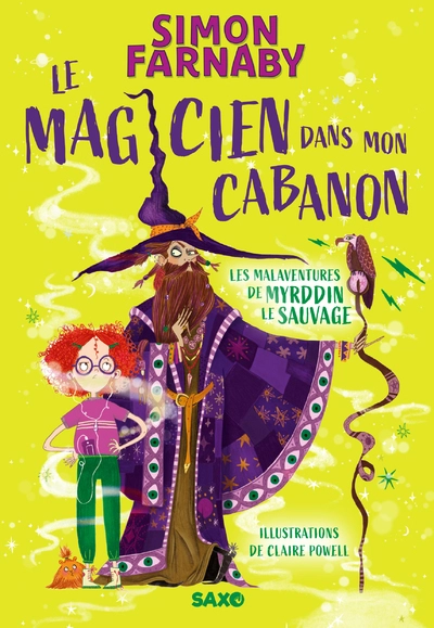 Le Magicien dans mon cabanon, tome 1 : Les malaventures de Myrddin le sauvage