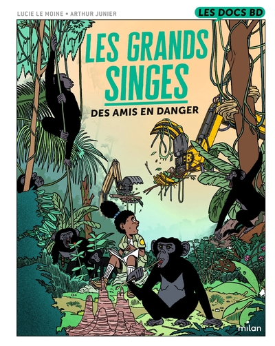 Les grands singes : Des amis en danger