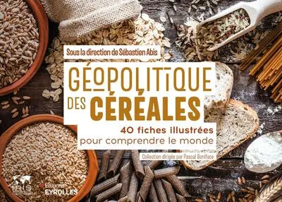 GEOPOLITIQUE DES CEREALES: 40 FICHES ILLUSTREES POUR COMPRENDRE LE MONDE / COLLECTION DIRIGEE PAR PASCAL BO