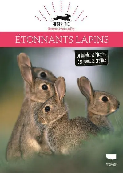 Étonnants lapins