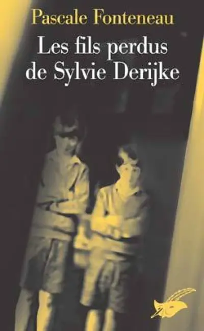 Les fils perdus de Sylvie Derijke