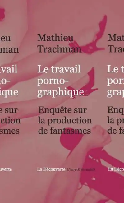 Le travail pornographique : Enquête sur la production de fantasmes