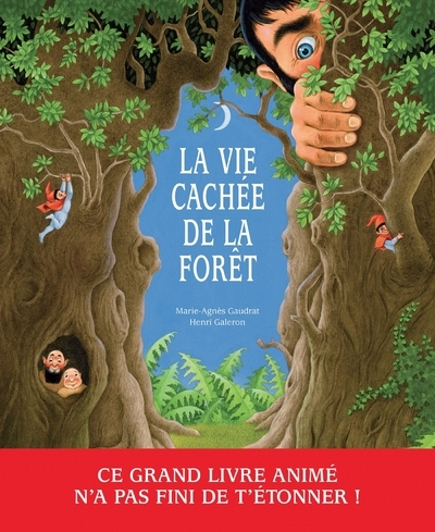 La vie cachée de la forêt