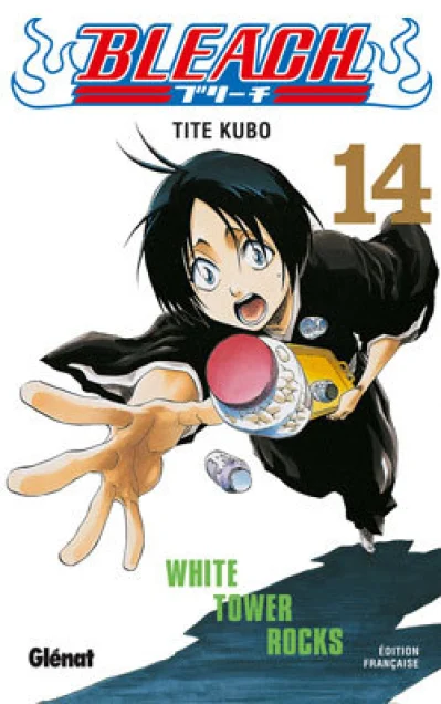 Bleach, tome 14 : White Tower Rocks